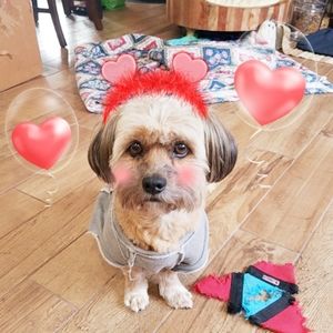 Meet your Posher, Vivian